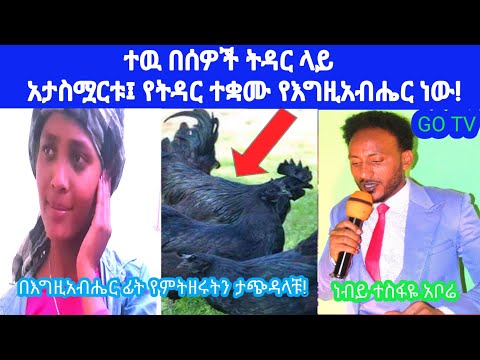 ቪዲዮ: ሕይወት እንዴት ተከሰተ በፕላኔታችን ላይ በጣም የመጀመሪያ ማን ነበር?