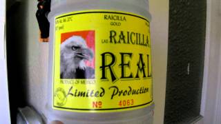 Raicilla de Mexico - Where Are You? - Please Make More - not tequila or mezcal