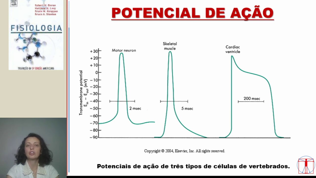 O Que é Potencial De Ação Fisiologia O Que é Potencial De Ação Fisiologia