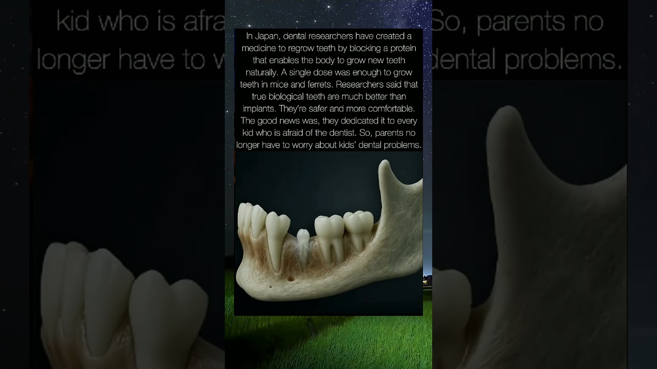 No more dental worries #2