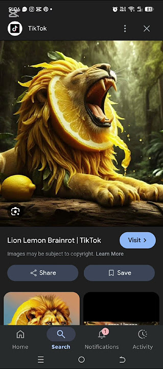 funny meme