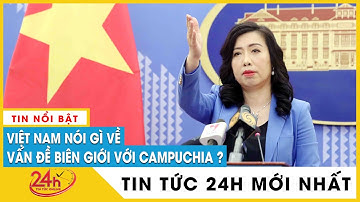 Việt Nam lên tiếng về tình hình phân định cắm mốc biên giới với Campuchia | Tv24h