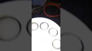 Diy cloner