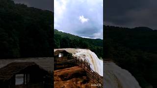 Athirappilly waterfalls kerala shorts