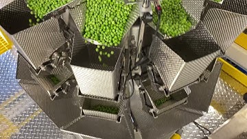 Vertical Form Fill & Seal Bagger Model A/1200 | Feature: Combination Scale & Mezzanine