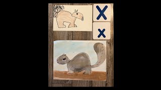 Xx -Xerus African ground squirrel Family art video stormycapalareartwithme