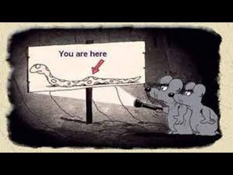 adventure academy WHAT I THINK ABOUT LIVE SNAKE FEEDING VIDEOS!