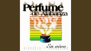 Tengo un perfume (En Vivo)