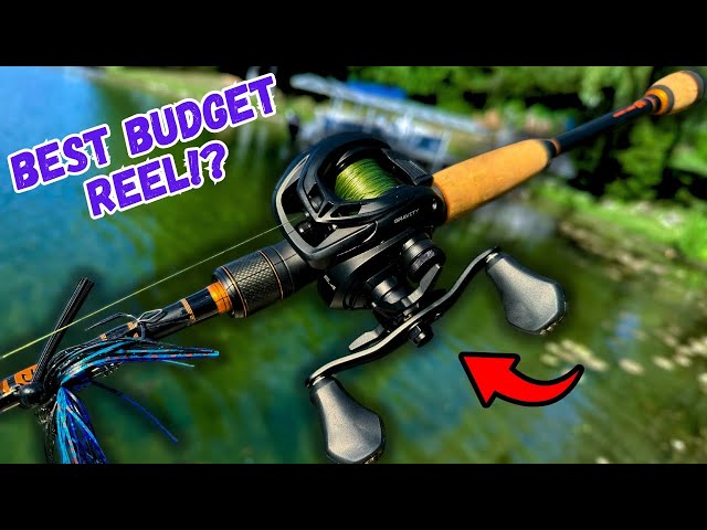 big ugly fishing pole Pure Brands: Stik Rods The Ugly Stik Tiger Vintage Ultralight Reels : Brand_RAM Mounting Systems Spectra Line Model:30 lb White (≤ 150 Yards)