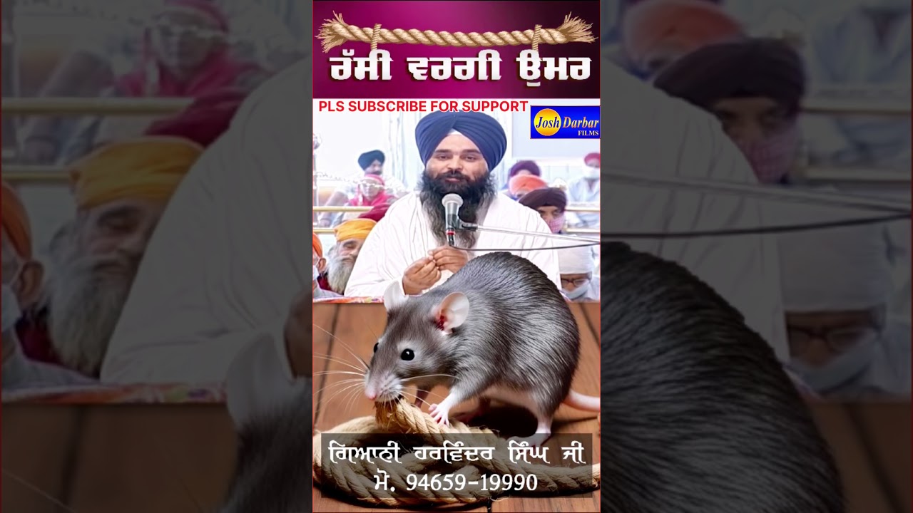 Giani Harvinder Singh Ganga Nagar Wale #shorts #livegurbani