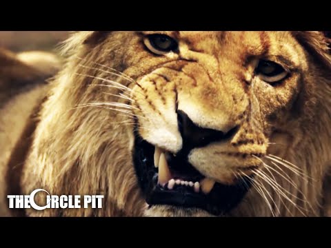 ORACLE - Perseverance (Official Music Video) Melodic Death Groove Metal | The Circle Pit