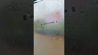 Flood Like Situation In Many Parts Of Haryana Punjab