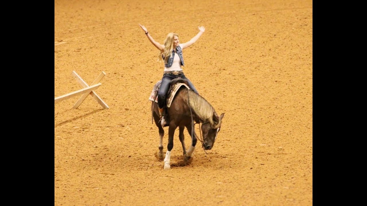 Extreme Mustang Makeover - Fancy's 100 day journey.