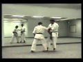 Tuidi   and the hidden techniques    of okinawan karate