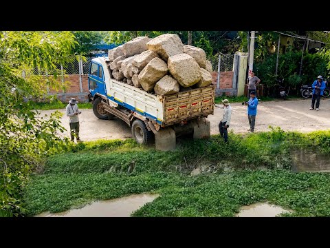 NEW ZONE UNLOCKED! Heavy Komatsu Dozer & Dump Trucks Clearing Massive Trash