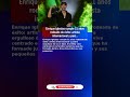 😱Enrique Iglesias cumple 51 años rodeado de éxito:  (2026) #UltimaHora #España