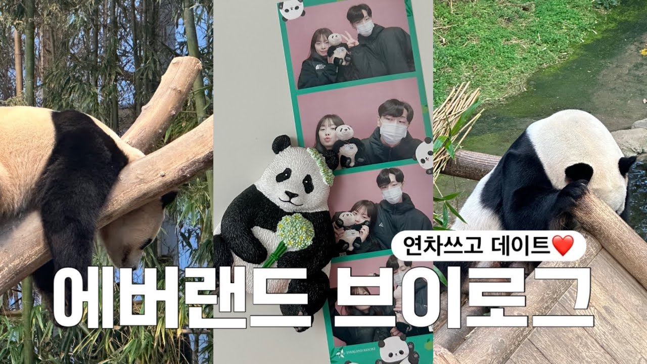 에버랜드 브이로그ㅣ평일 연차 쓰고 바오패밀리 만나러 오픈런 후기ㅣ판다월드🐼ㅣ사파리월드ㅣ로스트밸리ㅣ뿌빠타운ㅣ카피바라 실물영접