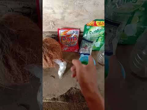 Video: Timbunan Udang Di Rumput - Cara Menghilangkan Udang Di Laman Anda