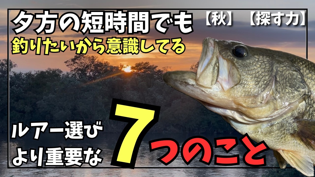 潮来釣具センター 2024年バス用超激安ビッグベイト福袋の中身を開封し