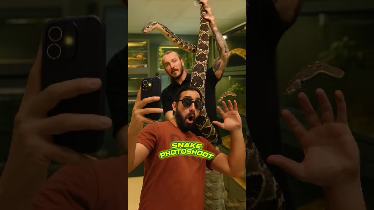 Funny Snake Photoshoot fails moment. 🤣 