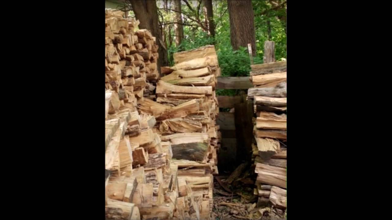 Can You Find The Cat? - YouTube