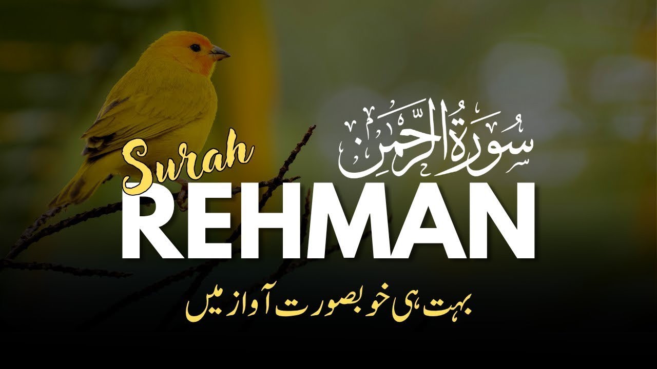 🌸 Surah Rahman Ki Pyari Tilawat | Quran Ki Sab Se Khoobsurat Surah
