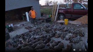 Ride along with IOWA TRAPPER Day 1 (VERY EXCITING) #trapping #raccoon #beaver
