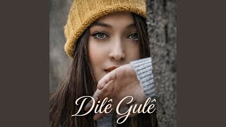 Kurmancî Dilê Gulê - Dargın