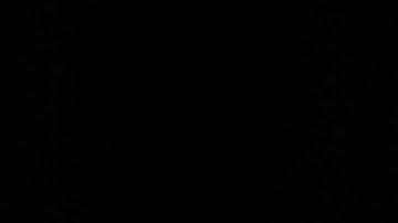 20131231_235915.mp4