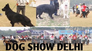 winnig moment  dehli dog show 2024 || German shepherd speciality || jambo black gsd got SG2 || by Dog baba Lucky dagar 322 views 3 months ago 26 minutes