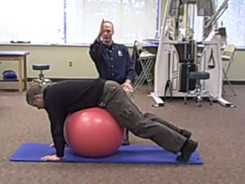 Lumbar Physioball Alternate Arm Leg Lift - YouTube