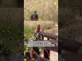 What does an e-bike mean to you?