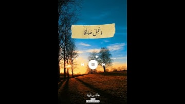القارئ حمزة بوديب 🤍🎧        ﴿ سورة فصلت ﴾ ❤️