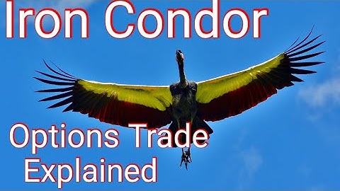 Iron Condor Options Trade Explained with Tradestation Example