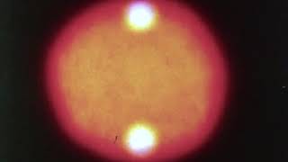 [SOUNDTRACK] DUST  - SETTLEMENT screenshot 4