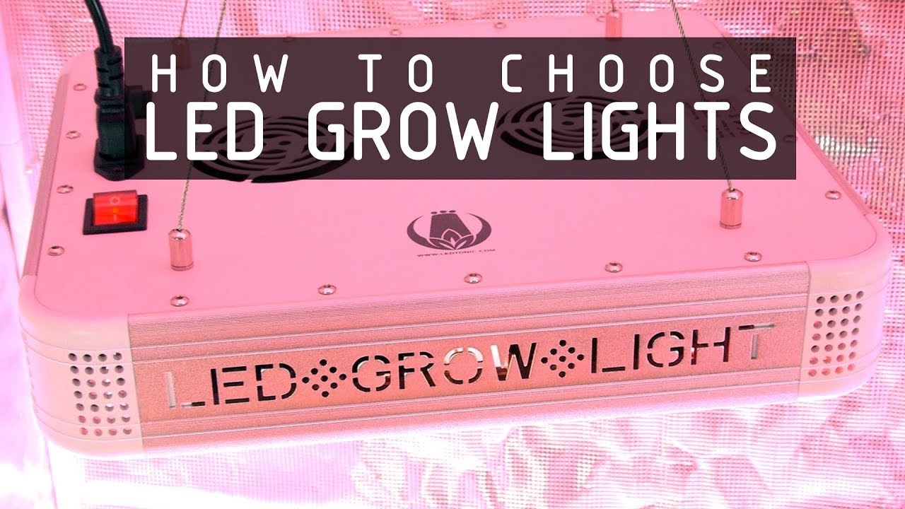 How To Choose LED Lights To Grow Cannabis: Cannabasics 