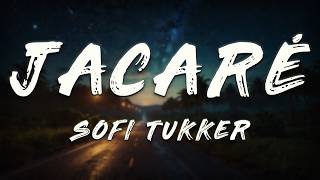 Sofi Tukker - Jacaré (Lyrics)
