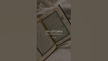 سورة فصلت …ارح سمعك 😴| #قرآن #تلاوة_خاشعة #راحة_نفسية #لايك #اكسبلور #تابعوني #احمد_عبدالحي