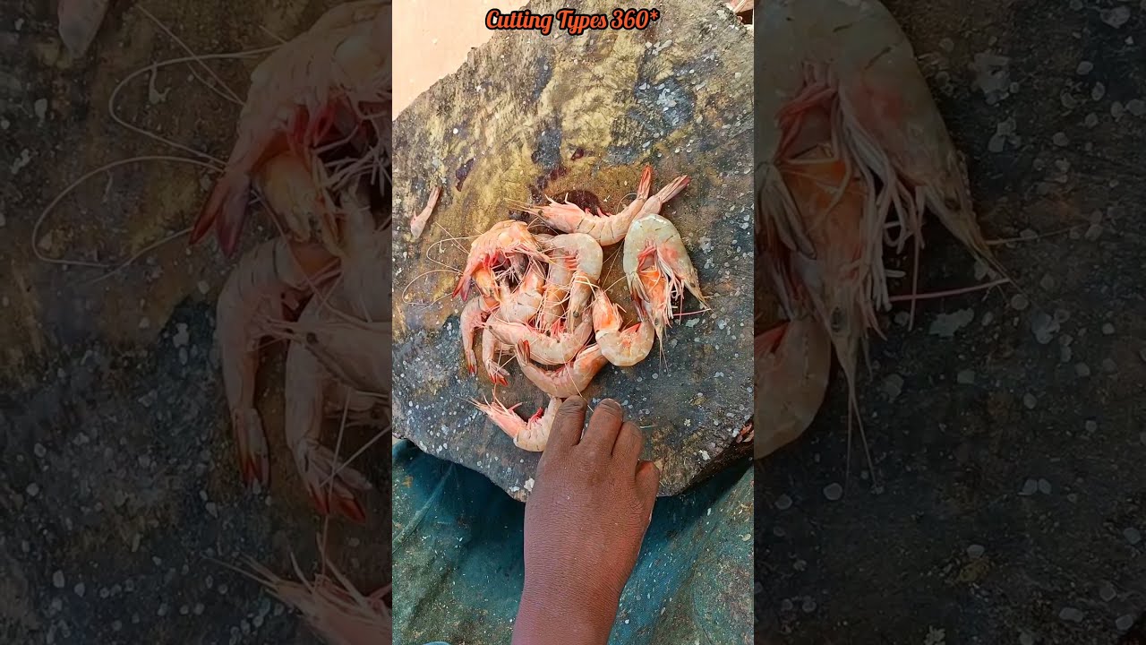 Prawns Cutting Skills / CT 360*🔪 