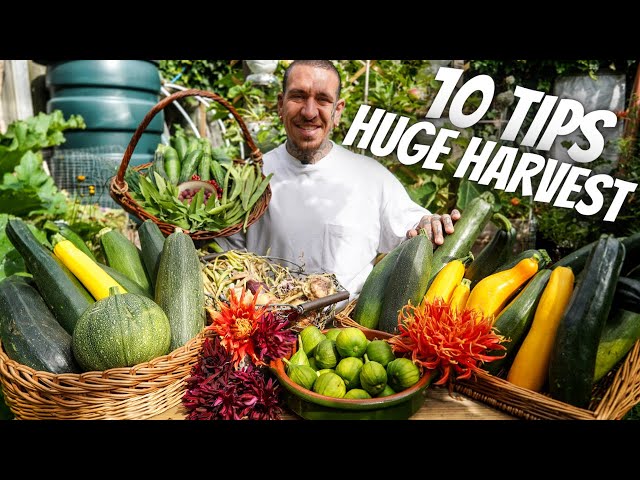 10 Gardening TIPS which will Change your Life FOREVER class=