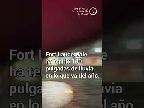 Video: Orai ir klimatas Fort Loderdeilyje, Floridoje