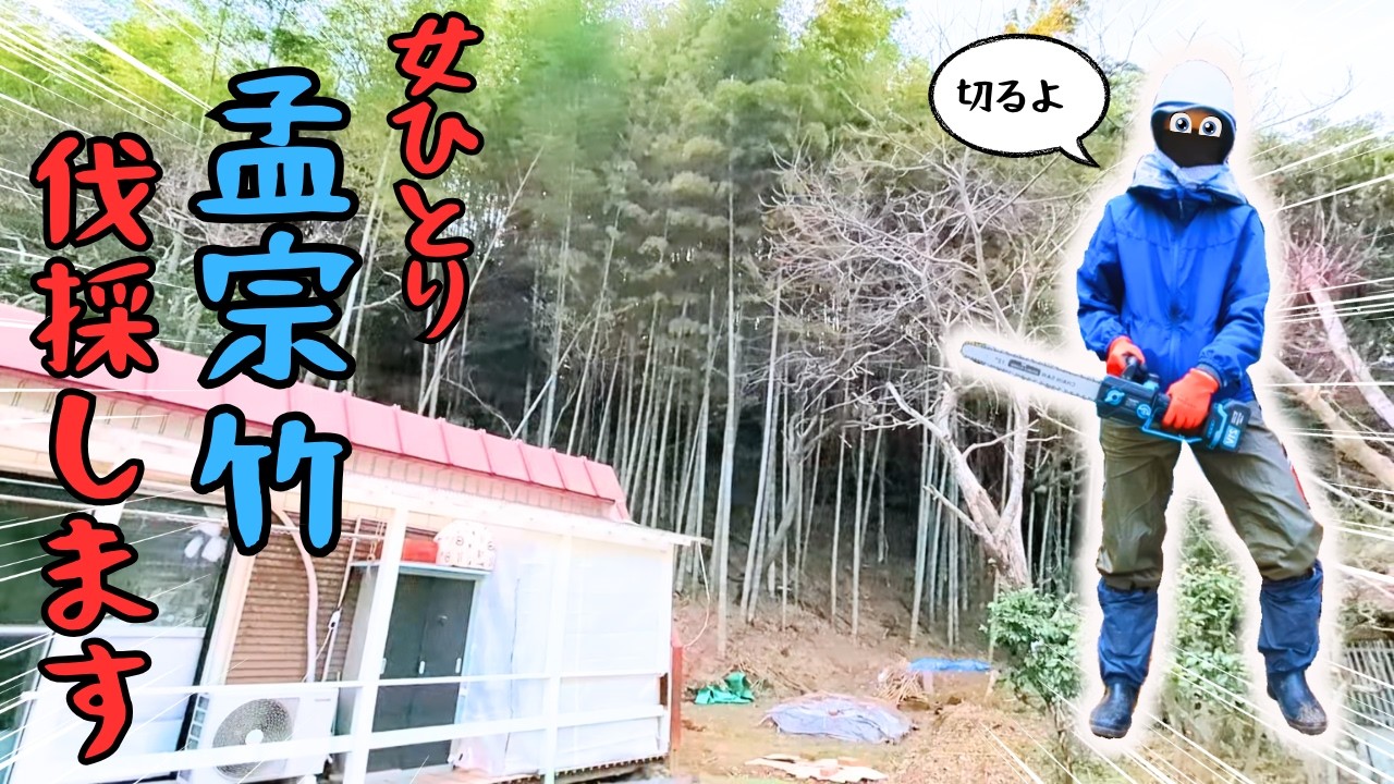 【廃墟の隣に棲む女】 ～女でも孟宗竹、伐採できます。SPGDSPSY充電式チェーンソーが優秀すぎた件～#30