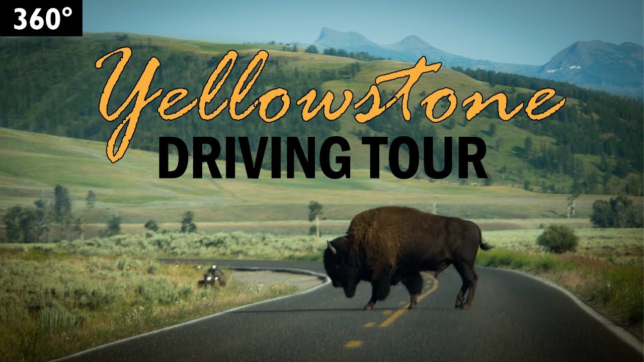 driving tours of yellowstone national park