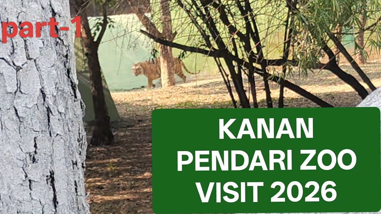 Happy New Year-2026 ! Kanan Pendari Zoo Me Masti🥳