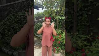 Funny Can You Do This