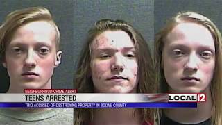 Deputies: Vandalism suspects cause thousands of dollars in damage because they were bored
