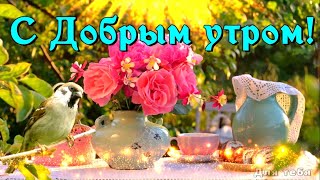 Пожелание С Добрым Утром! С Добрым Утром И Хорошим Днём!