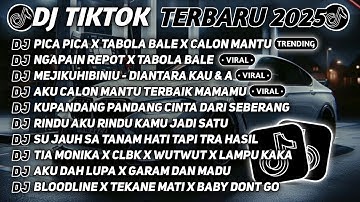 DJ TIKTOK TERBARU 2025 🎵 DJ PICA PICA X TABOLA BALE X CALON MANTU 🎵 DJ NGAPAIN REPOT X TABOLA BALE