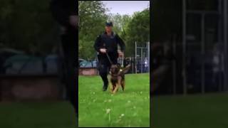 Civil Nuclear Constabulary Dog Unit