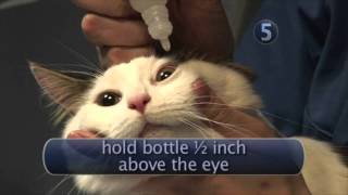 How Are Upper Respiratory Infections Treated?